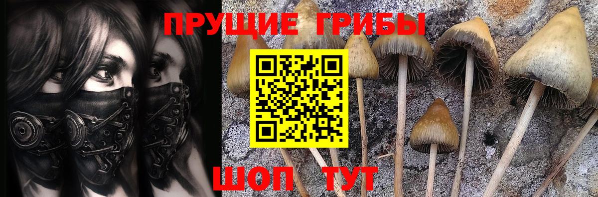 Псилоцибиновые грибы Cubensis Сатка