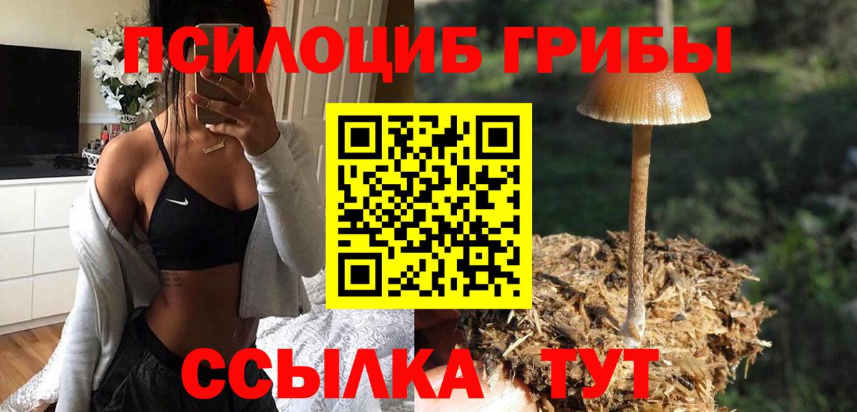 Галлюциногенные грибы мухоморы  Вход с VPN  Сатка 
