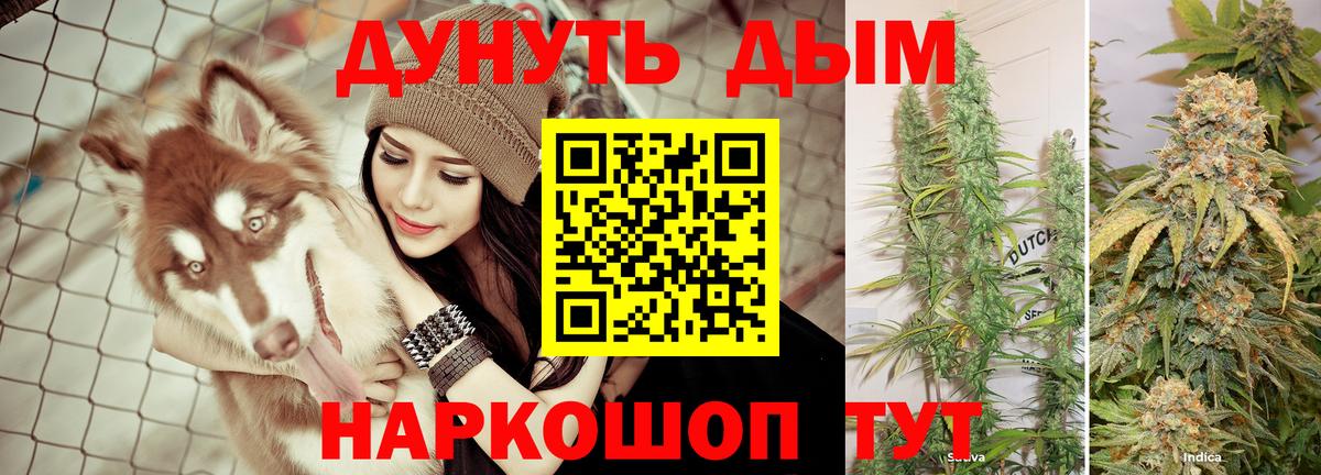 Каннабис тримм  Бошки Шишки Ganja  Сатка  Вход с VPN  Каннабис AK-47 